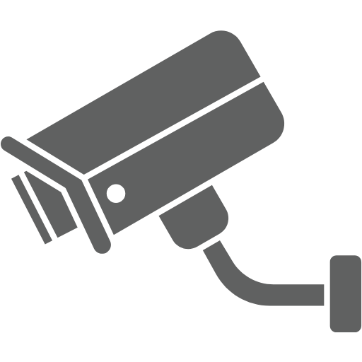 CCTV/Alarm Systems